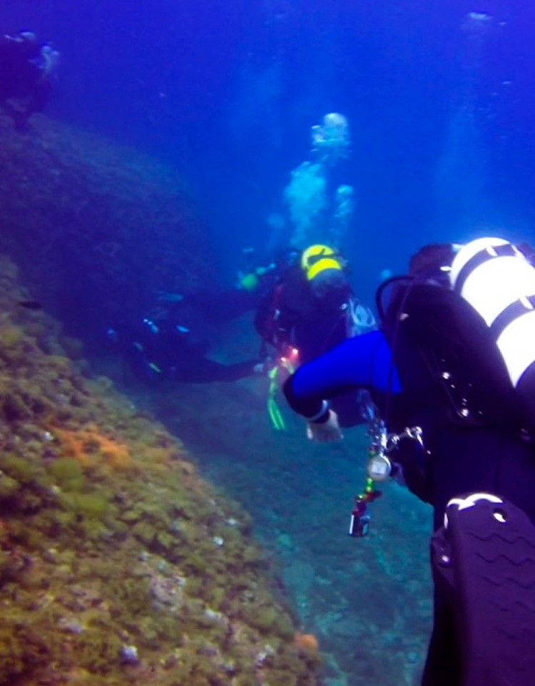 Licencia federativa de buceo