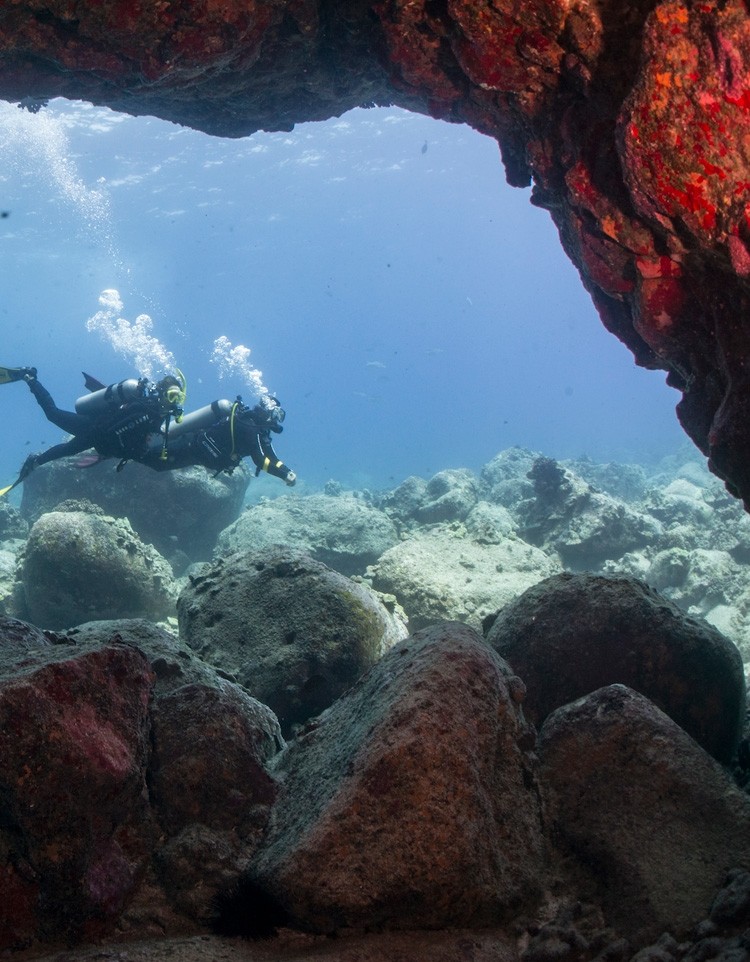 Salidas de buceo · Jávea y Dénia · Carpe Vitae
