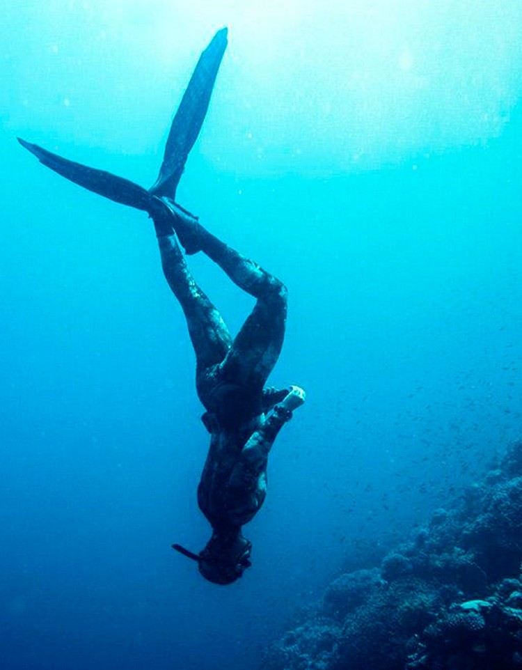 Salidas de buceo · Jávea y Dénia · Carpe Vitae
